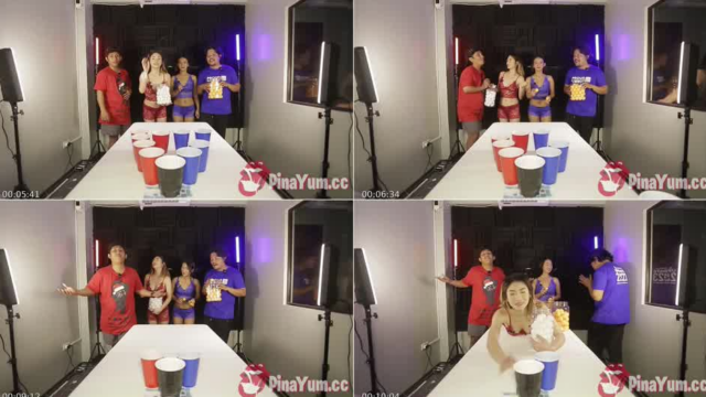 Beer Pong Table Game